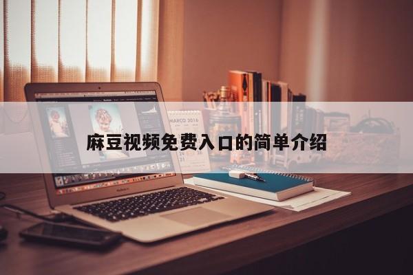 麻豆视频免费入口的简单介绍